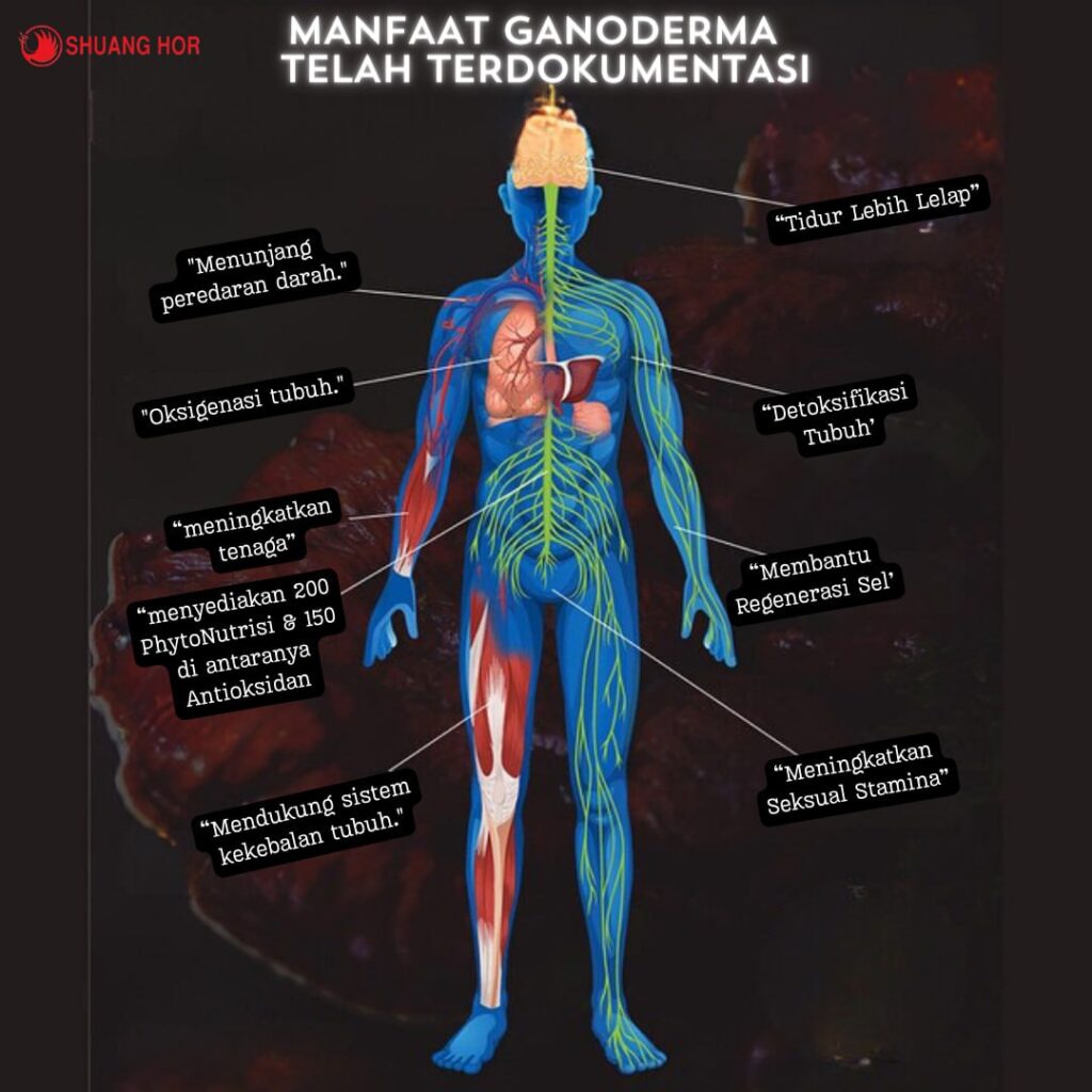 MANFAAT-GANODERMA