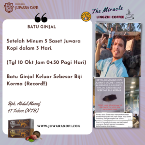 kopi-juwara-obati-batu-ginjal