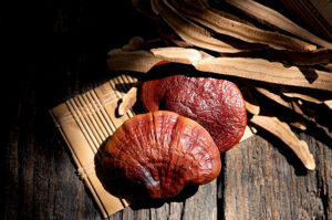 ganoderma-lingzhi ganoderma-lingzhi
