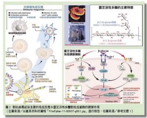  Shanghai Academy of Agricultural Sciences (2023),